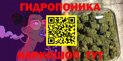 индика Бузулук