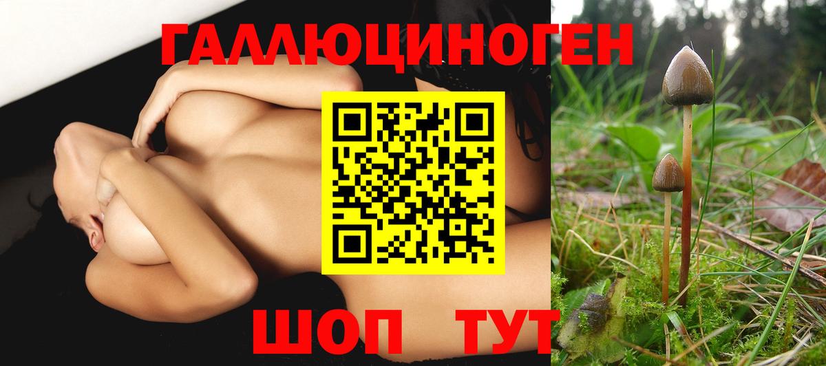 Шахты  Галлюциногенные грибы мицелий  Галлюциногенные грибы мухоморы  Вход с VPN 
